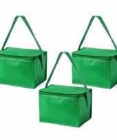 10x stuks koeltassen van polypropyleen sixpack blikjes groen